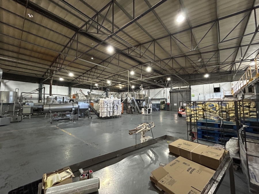 To Let commercial Property for Rent in Epping Industrial Western Cape